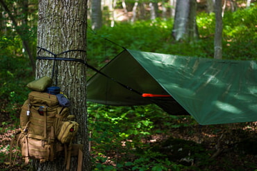 Survival Camp